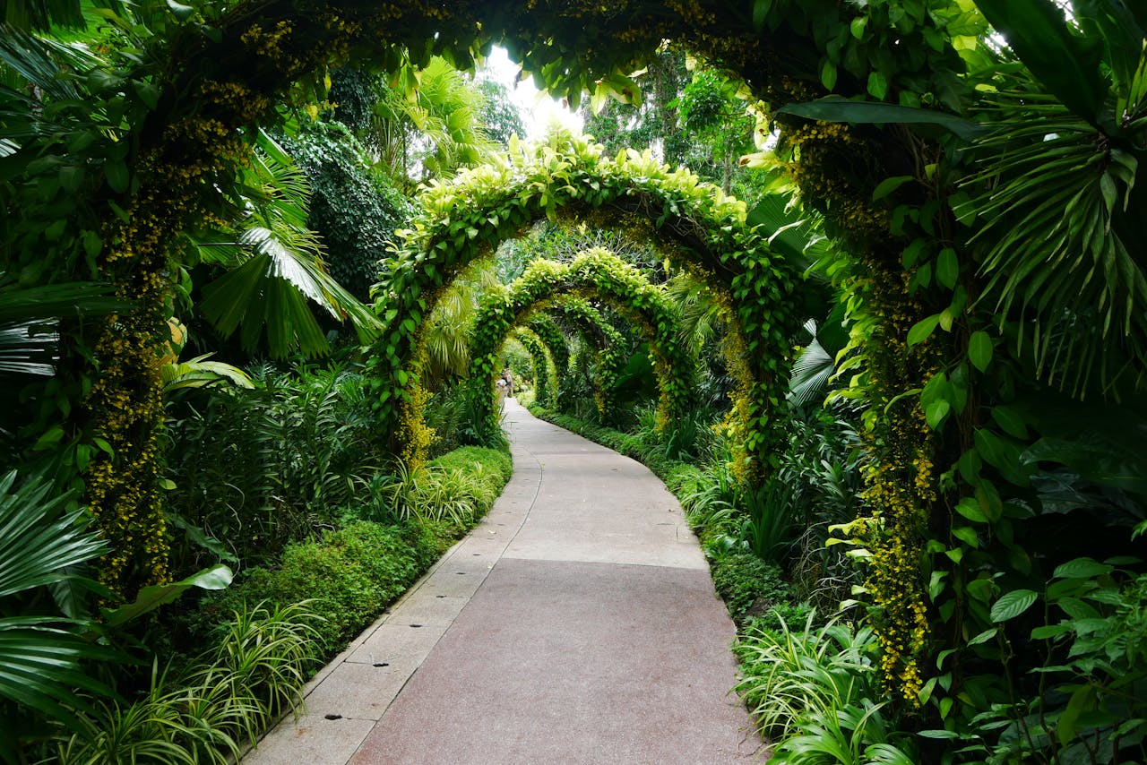 A serene walkway through a lush garden under green archway of vibrant foliage.