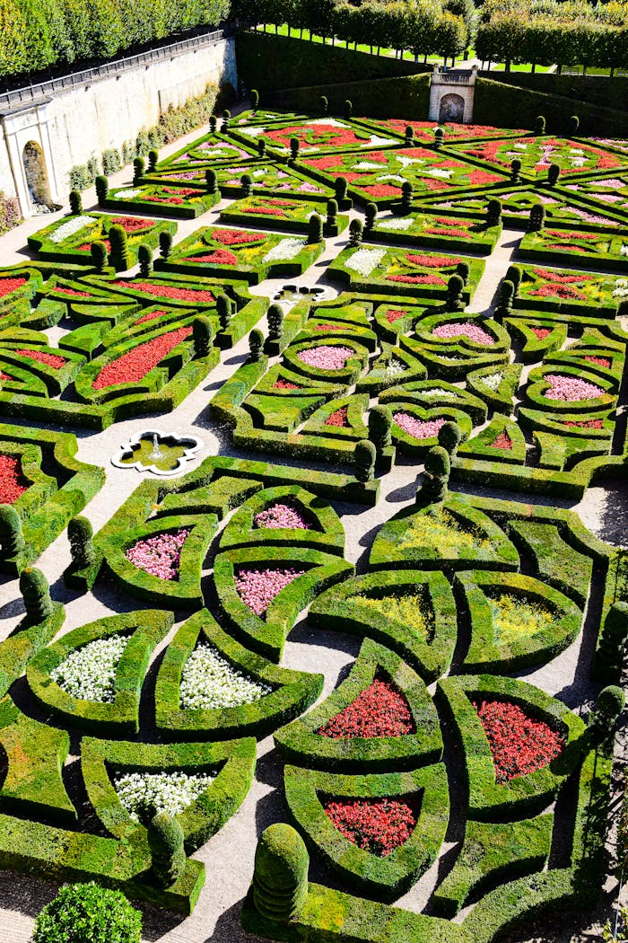 Explore a lush formal garden with beautifully patterned hedges and colorful flowers.