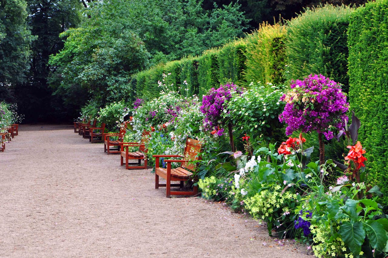 Lush garden path with wooden benches, lined by colorful flowers and greenery.